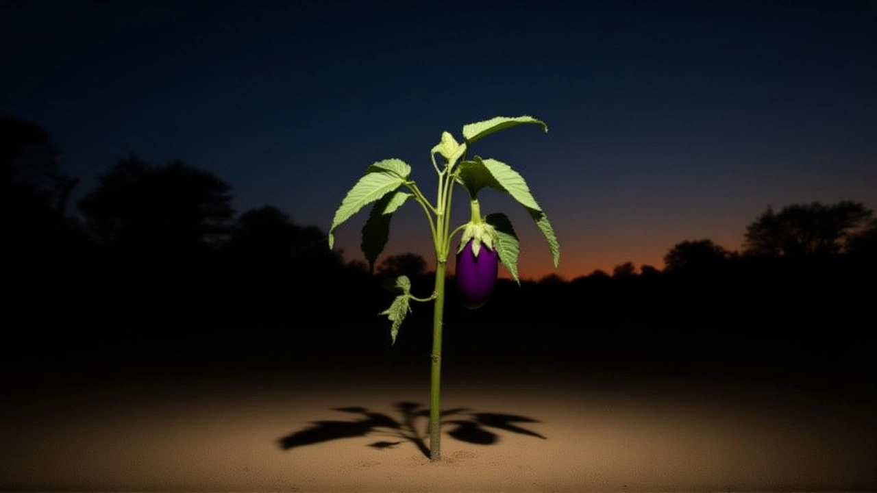 Technologie verandert natuurbeheer: Wageningen en Next Nature herdefiniëren mens-en-natuur-relatie