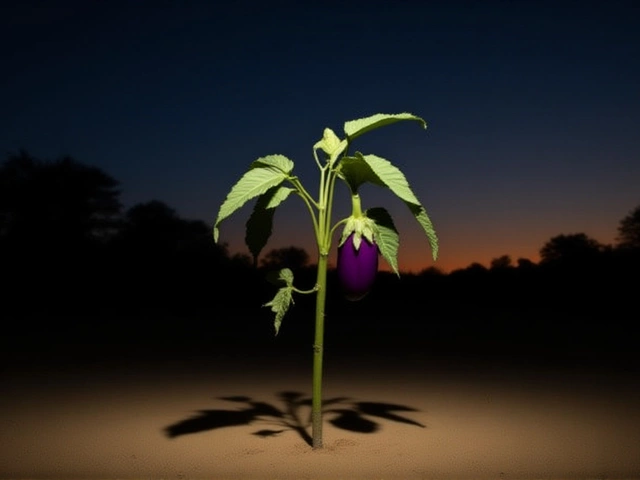 Technologie verandert natuurbeheer: Wageningen en Next Nature herdefiniëren mens-en-natuur-relatie